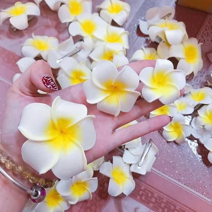 Combo 05 kẹp tóc hoa đại