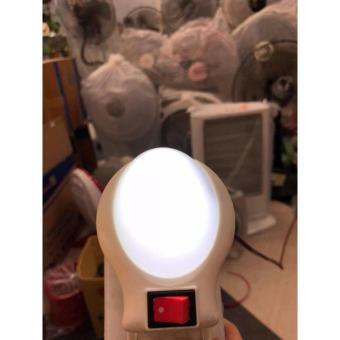 Đèn ngủ hình trứng có công tắc đèn led