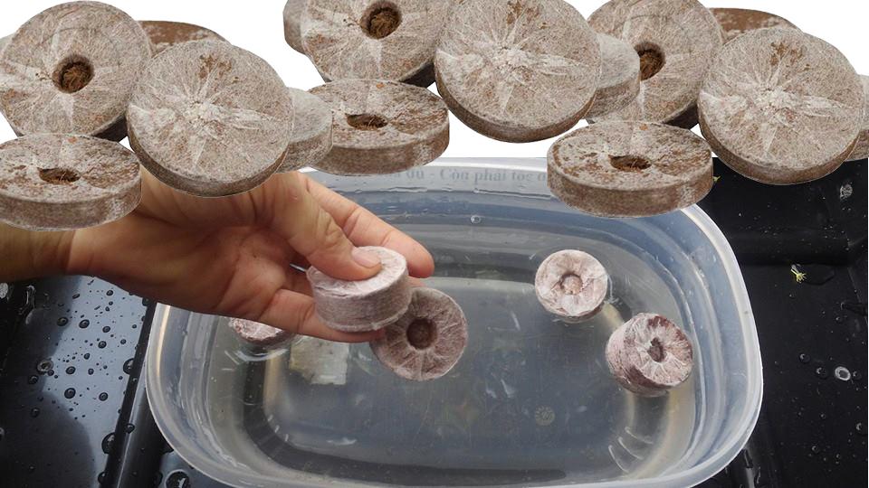 Viên nén ươm hạt (10 viên)
