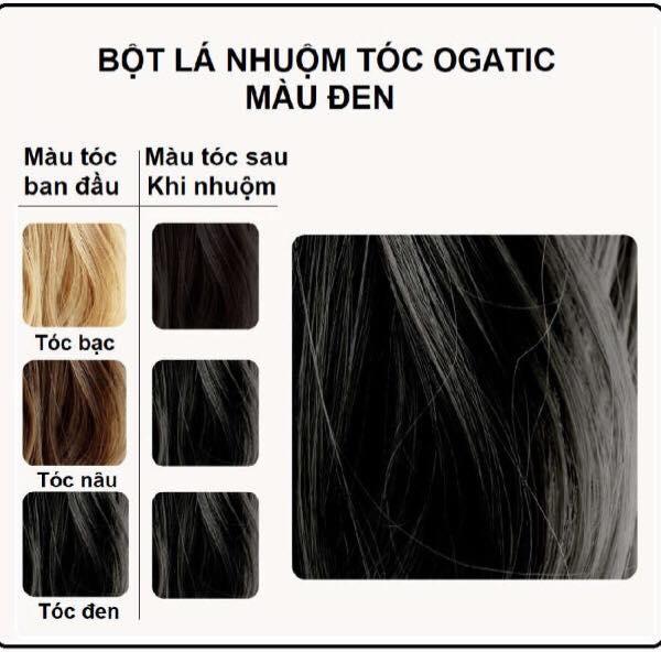 BỘT LÁ NHUỘM TÓC OGATIC – MÀU ĐEN (không hóa chất)