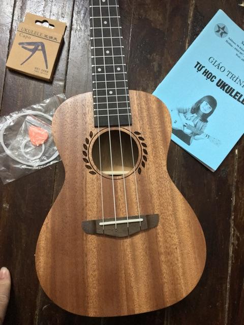 UKULELE CONCERT VIỀN LÚA
