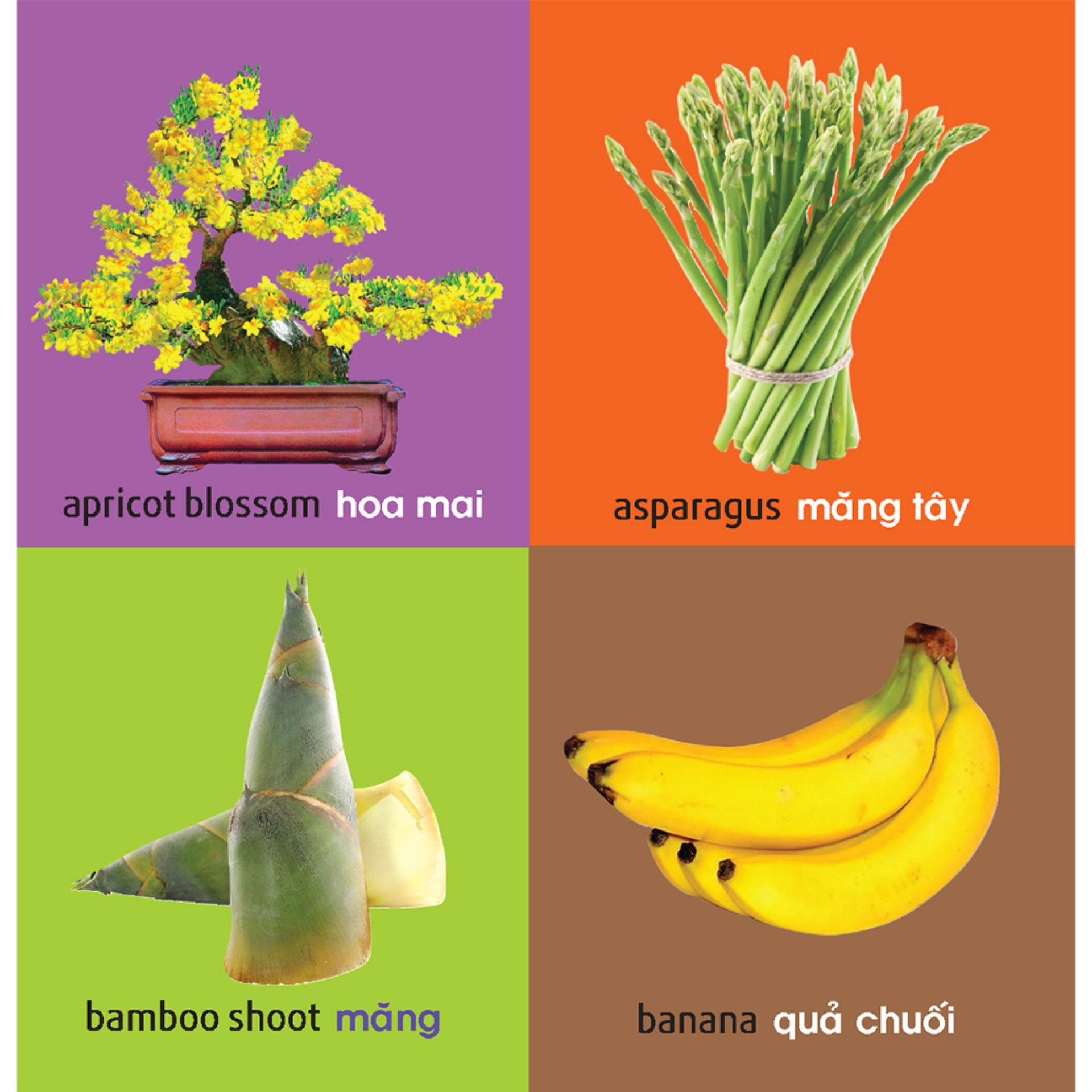 Sách: 101 First Words - Plants /101 Từ Đầu Tiên - Thực Vật ( TB )