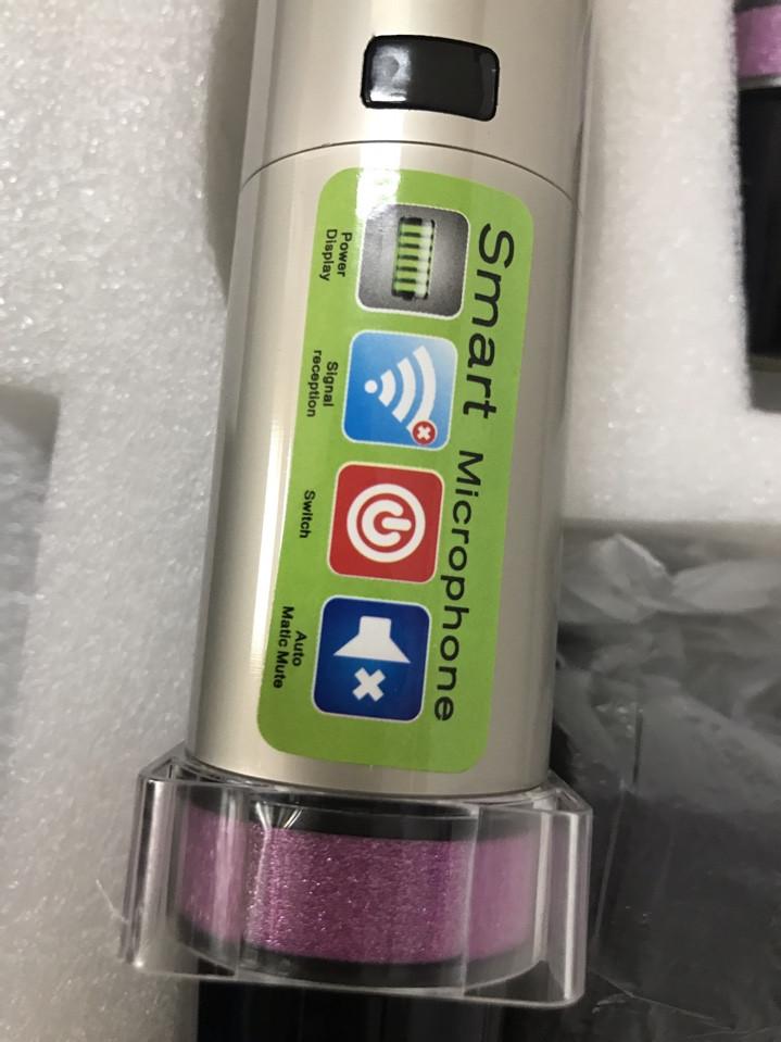 Micro Không Dây Shure UGX8 II