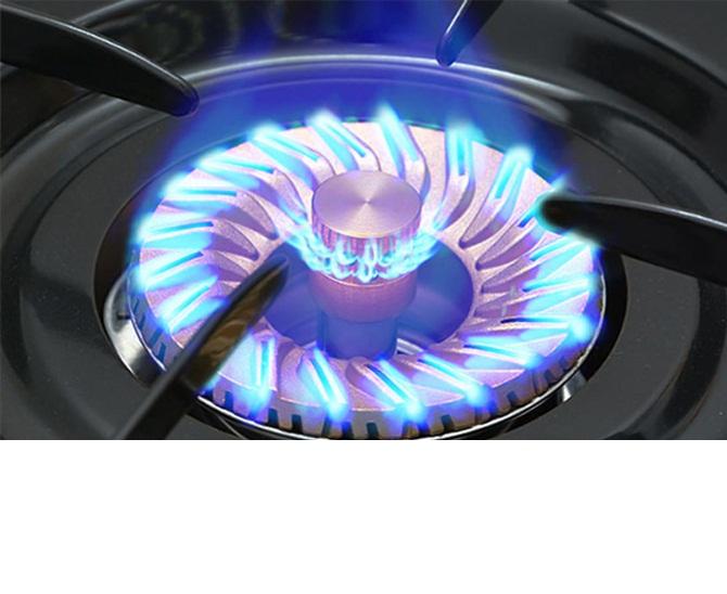 [HCM]Bếp gas đôi Rinnai RV-365(G)N (Đen)