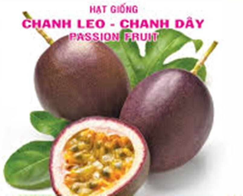 Hạt cây chanh dây - chanh leo - gói 30 hạt