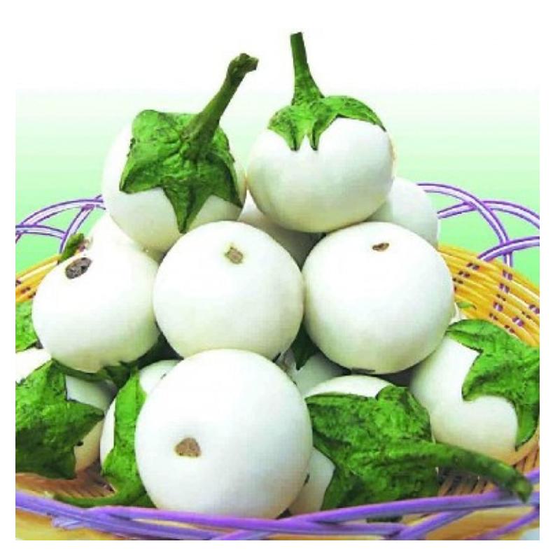 Gói 0.5g Hạt giống Cà Pháo (tặng gói kích nẩy mầm và hướng dẫn)