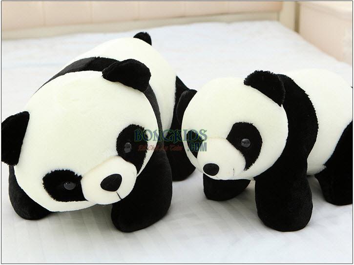 Gấu bông gấu trúc nằm size 60 cm ( như ảnh thật )