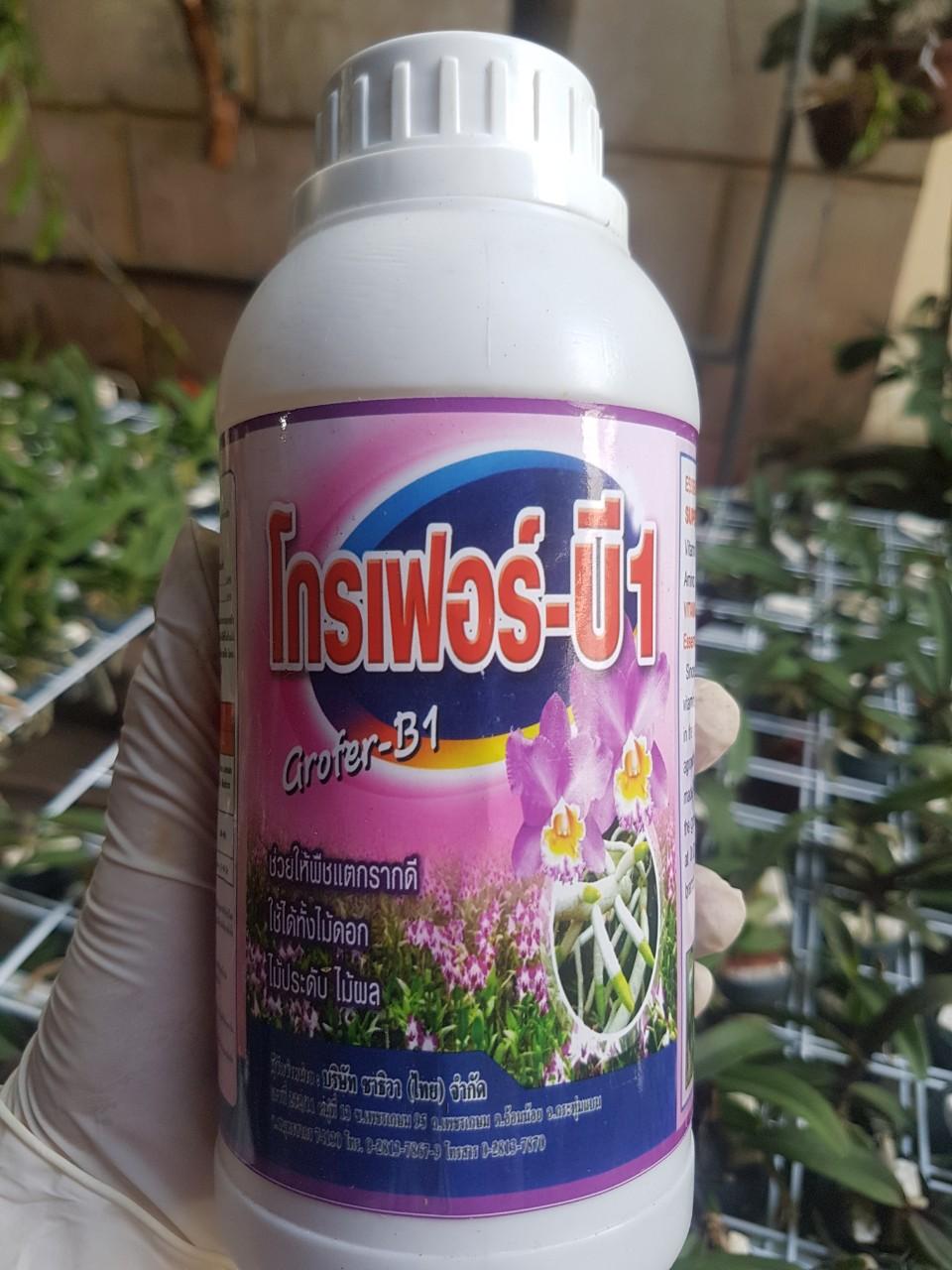 kích rễ b1 – kích rễ , phân bón lá