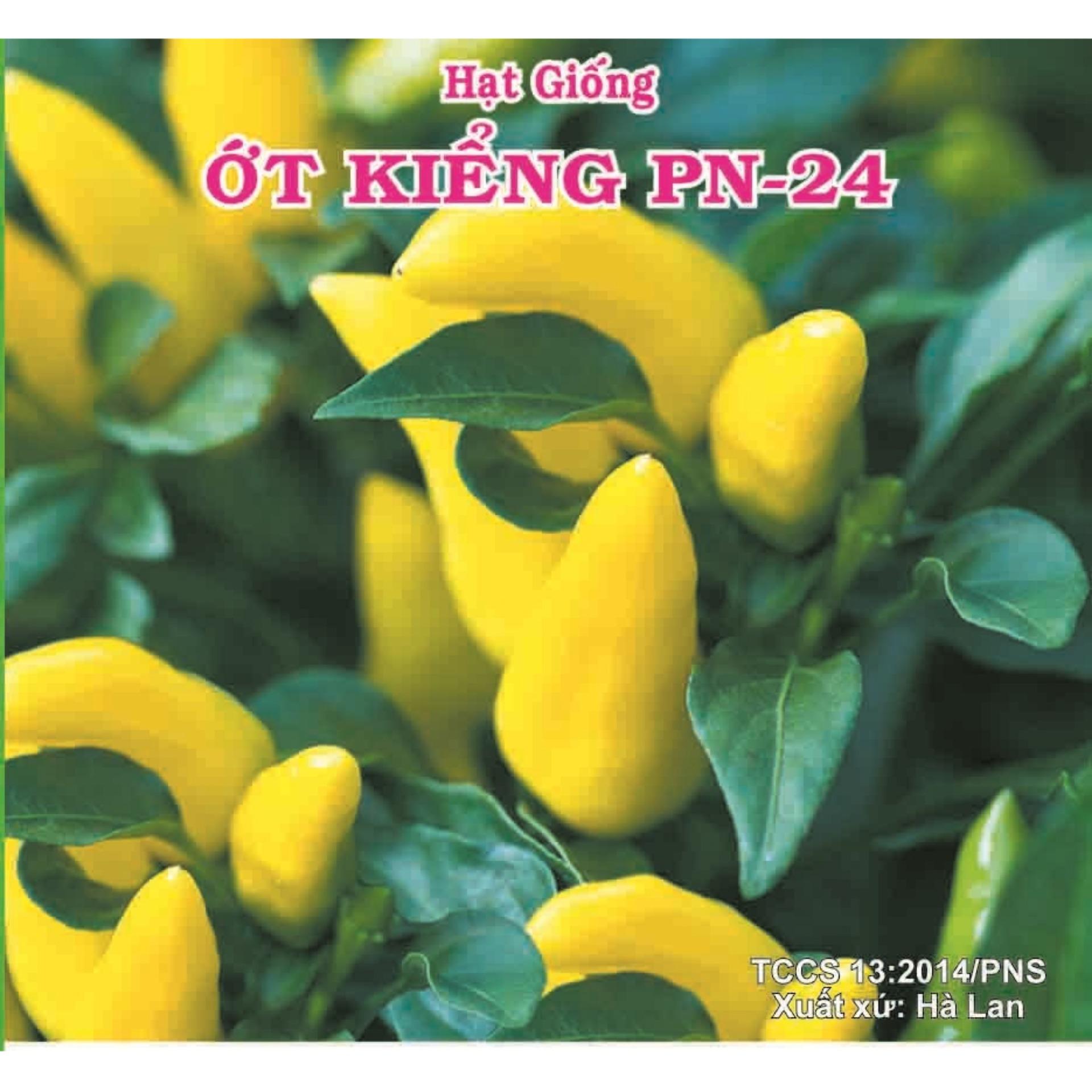 [HCM]Hạt giống ớt kiểng  PN24  - gói 02g