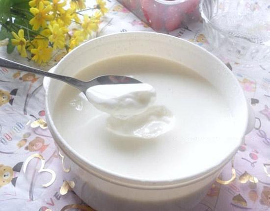 Máy làm sữa chua Yogurt Maker Nhật Bản