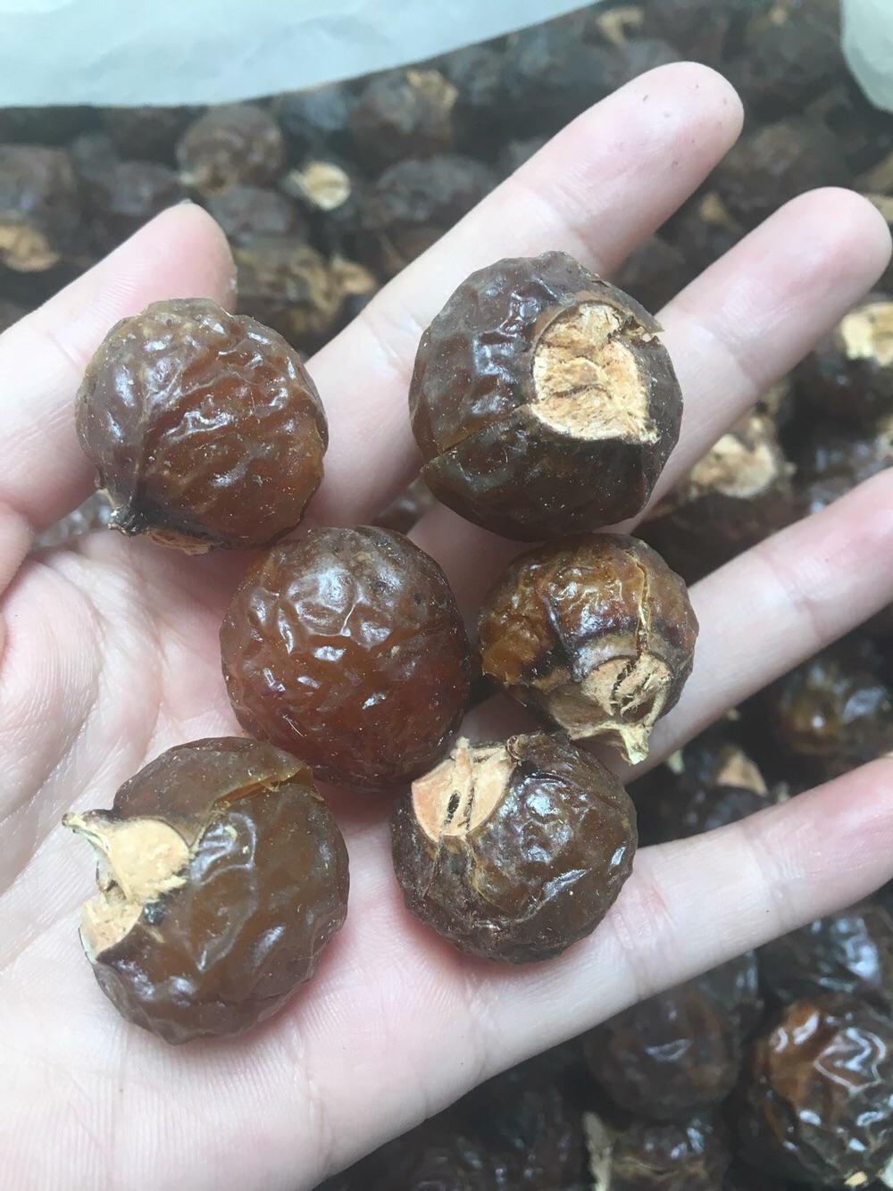 Quả bồ hòn tách hạt 1kg