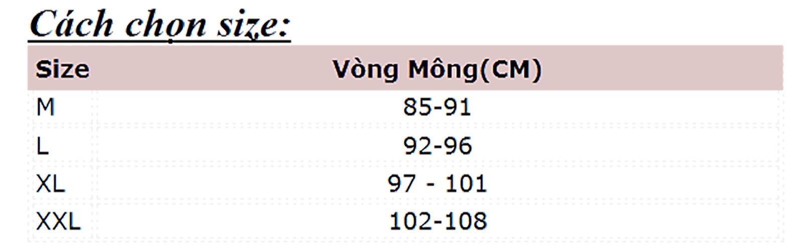 [HCM]Combo 05 quần lót ren Java89 - 089