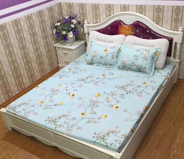 Bộ ga chun & gối cotton poly họa tiết 2.2x2m