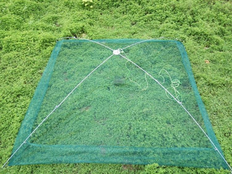 VÓ TÔM - Bắt TÔM - TÉP