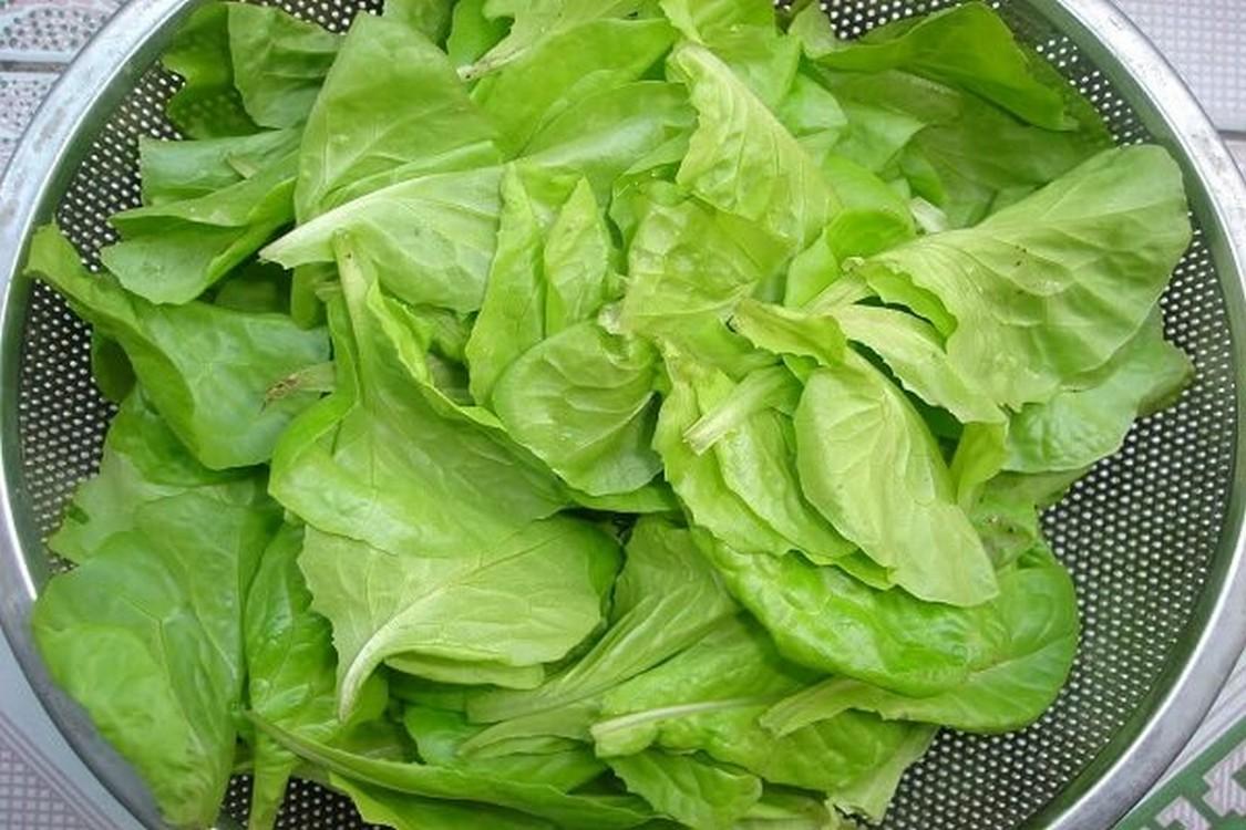 Hạt giống Xà lách baby (10g)
