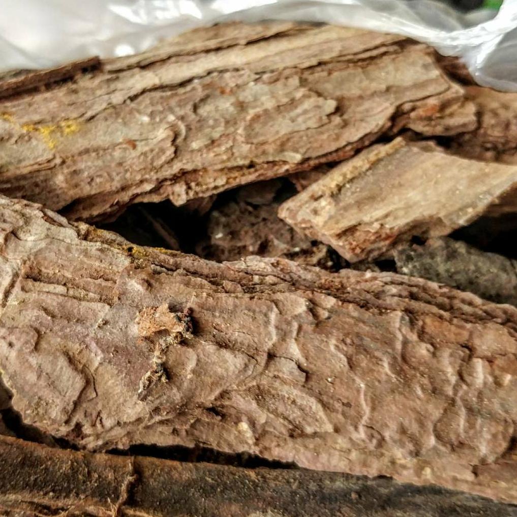 1 kg vỏ thông trồng lan 