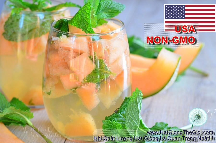 0.1Gr 260 Hạt Hạt Giống Bạc Hà Mint Lemon Trà Bạc Hà (B3.204| C26*W50*M001)