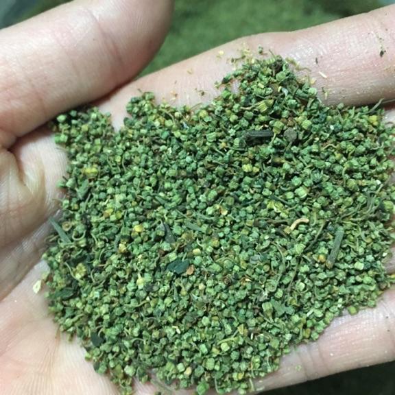 1kg nụ tấm hoa tam thất