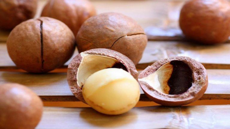 Dầu Macadamia Dưỡng tóc Julyhouse 30ml