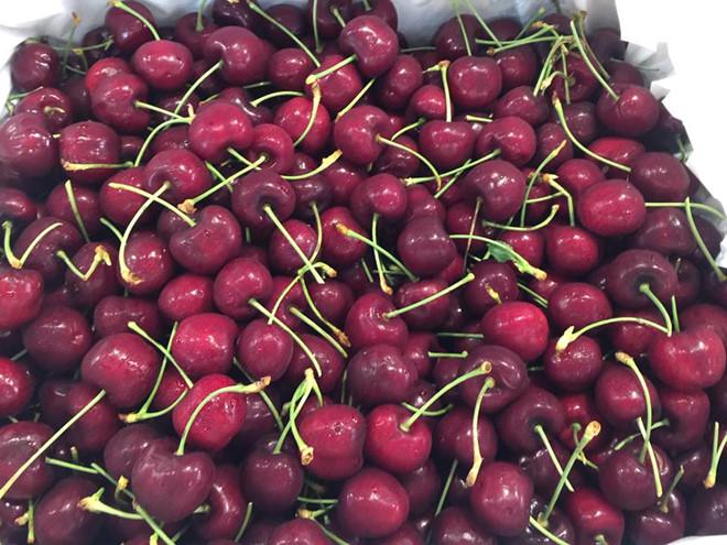 Hạt giống Cherry Mỹ F1 - Gói 0,5Gr