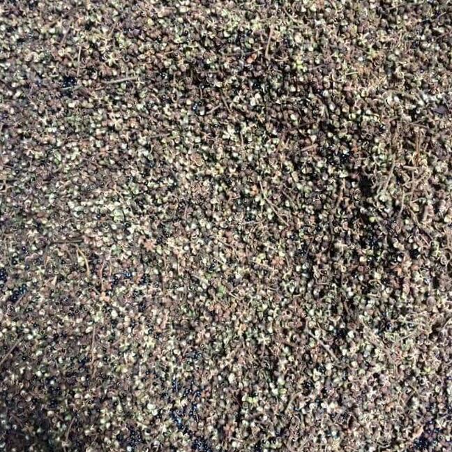 Mắc khén rừng 1kg