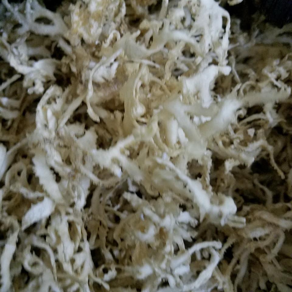 Rau câu chân vịt lý sơn 500g
