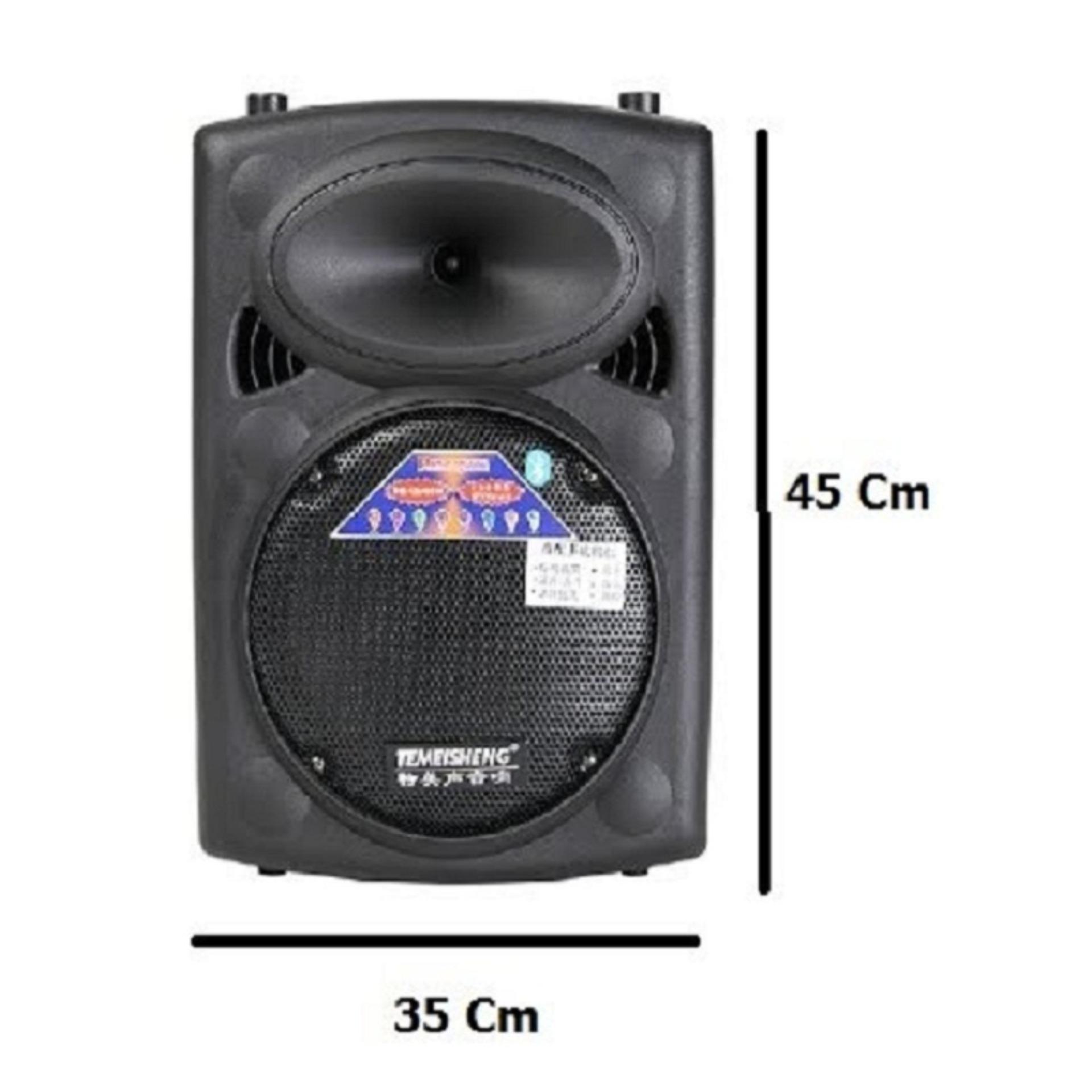 [HCM]Loa kéo Temeisheng DP-107L (Đen)