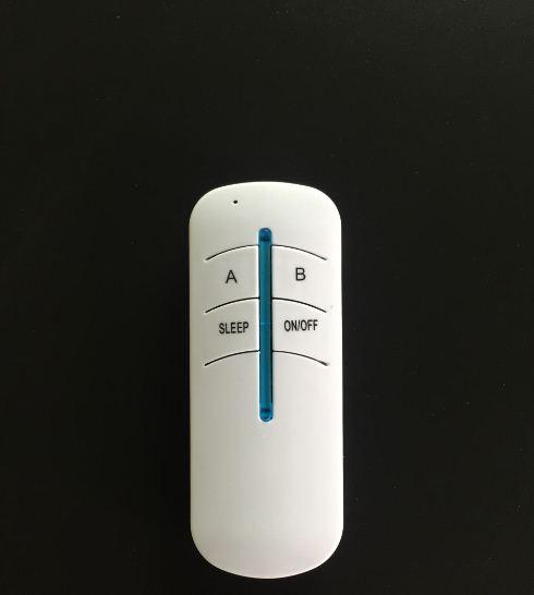 Công tắc điều khiển từ xa RF 2 cổng