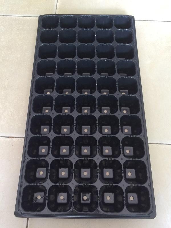 Bộ 5 khay ươm hạt giống 50 lỗ