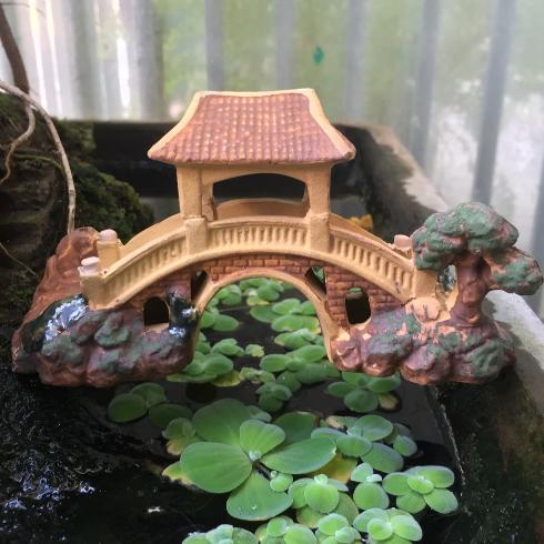 Cây Cầu Có Mái Hiên Trang Trí Hồ Cá, Bể Cá-Hòn Non Bộ