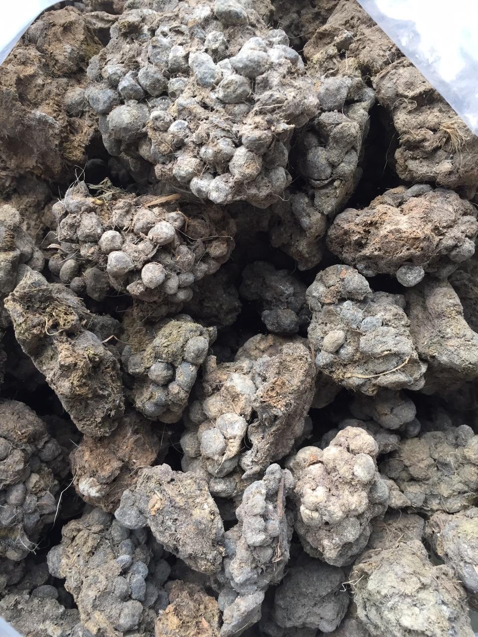Phân dê đã ủ nấm Trichoderma tan chậm giúp thoáng rễ - 1kg