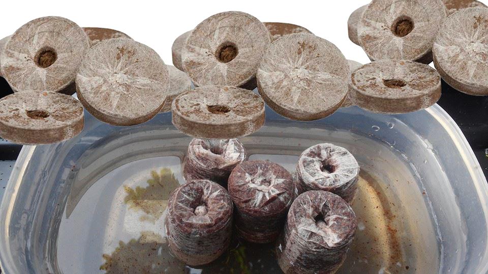 Viên nén ươm hạt (10 viên)