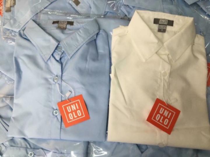 Áo sơ mi nữ cao cấp ( Hàng VNXK Chất lượng cao)