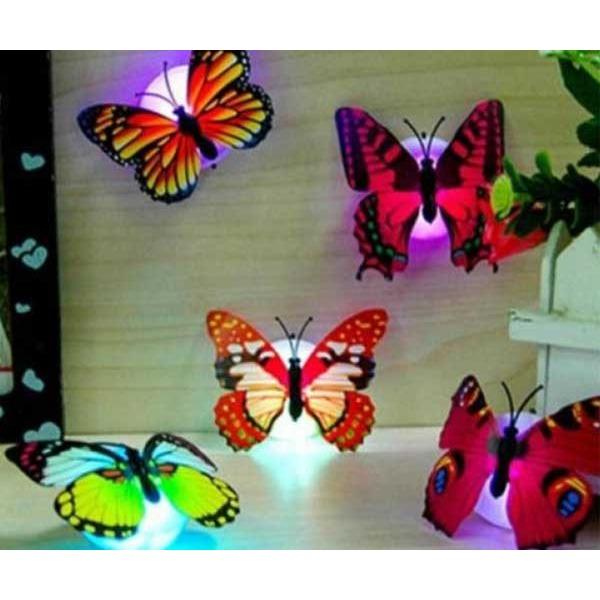 Combo 2 Đèn ngủ sắc màu led bươm bướm