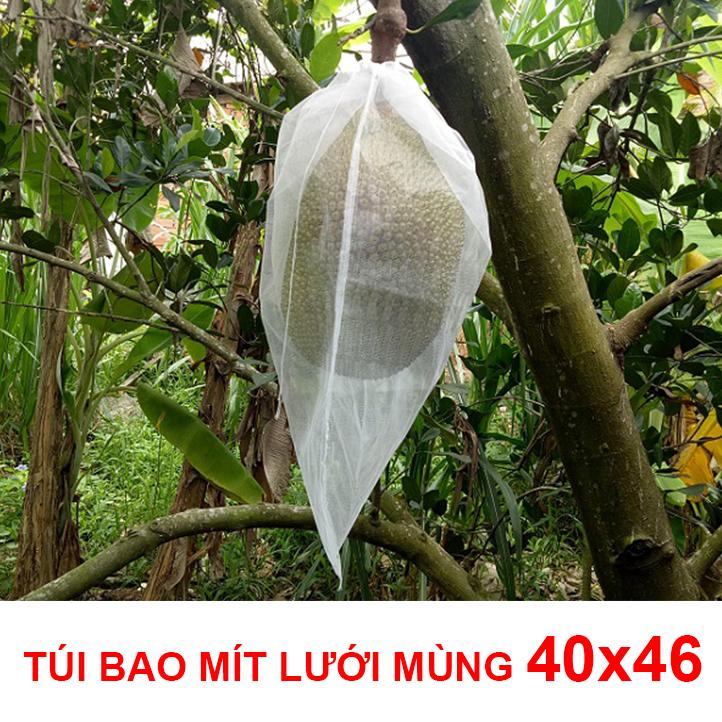 Bao mít 40x50cm vải mùng 100 cái