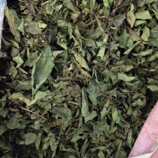 CÂY XẠ ĐEN KHÔ GIÚP TIÊU ĐỘC, PHÒNG UNG THƯ 1KG