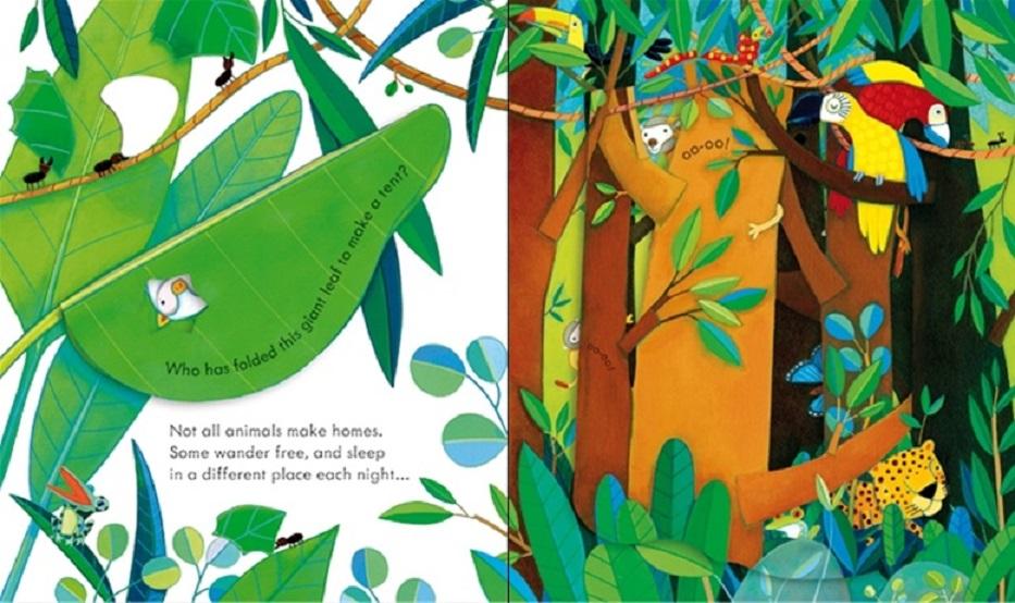 Sách tiếng Anh Usborne peep inside Animal homes