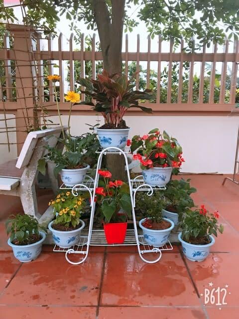 Kệ sắt để chậu hoa , cây cảnh – 4 tầng 6 chậu