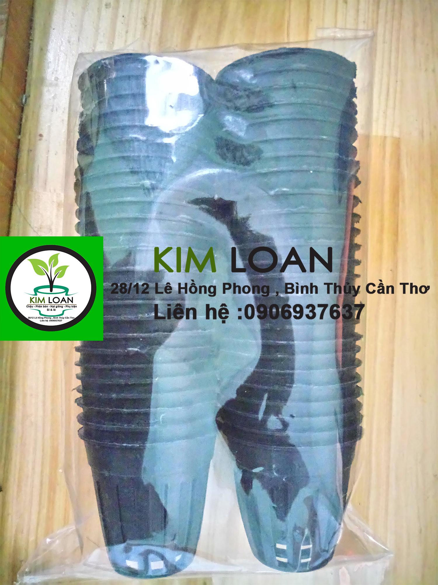 Combo 100 chậu cấy mô đường kính 4cm