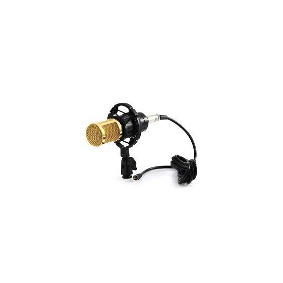 Micro thu âm Studio cao cấp BM 900 Woaichang