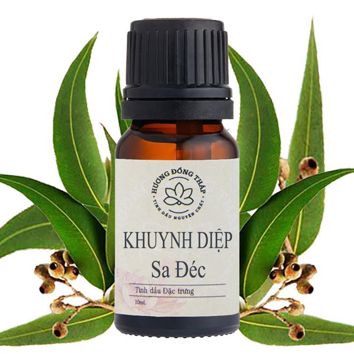 Tinh dầu Khuynh Diệp 10mL