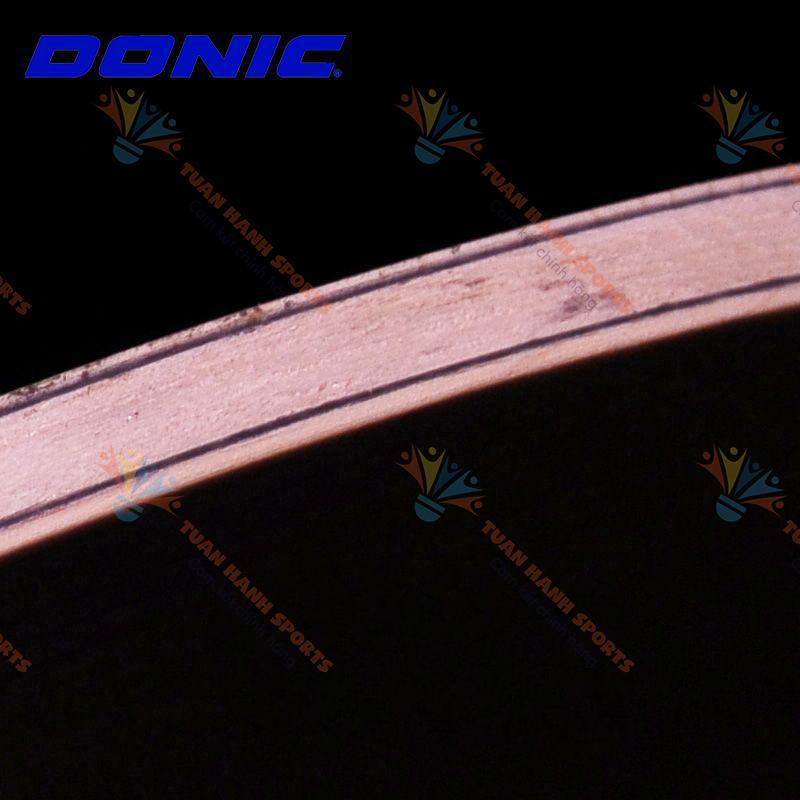 Cốt vợt Bóng Bàn Donic OVTCHAROV  ( carbon speed )