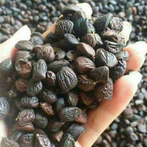 Hạt dổi rừng 100g
