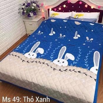Bộ ga gối poly 1,6m sao star