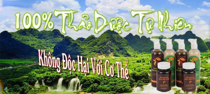 Dầu gội chữa bạc tóc, rụng tóc Bách Niên Xuân