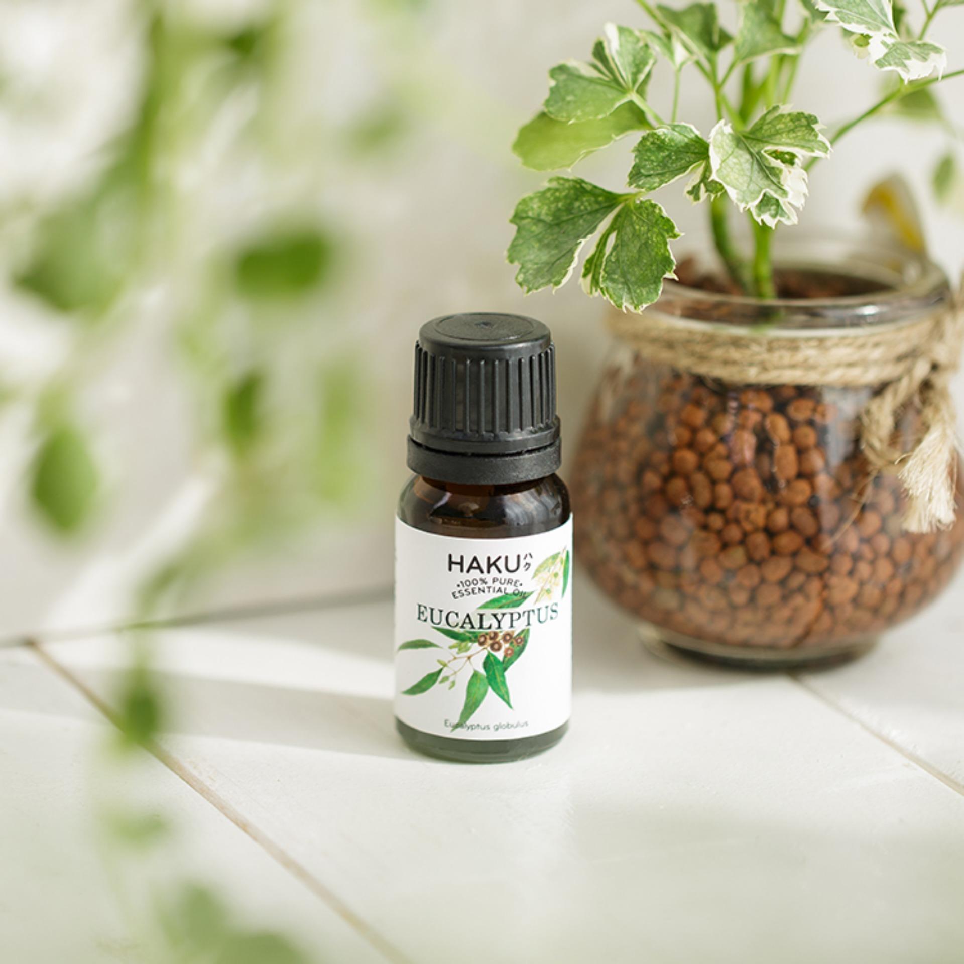Eucalyptus Essential Oil