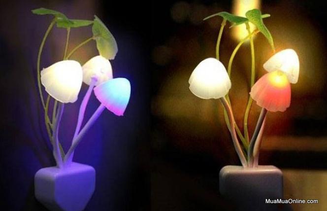 Đèn Ngủ Cảm Ứng Ánh Sáng Hình Cây Nấm