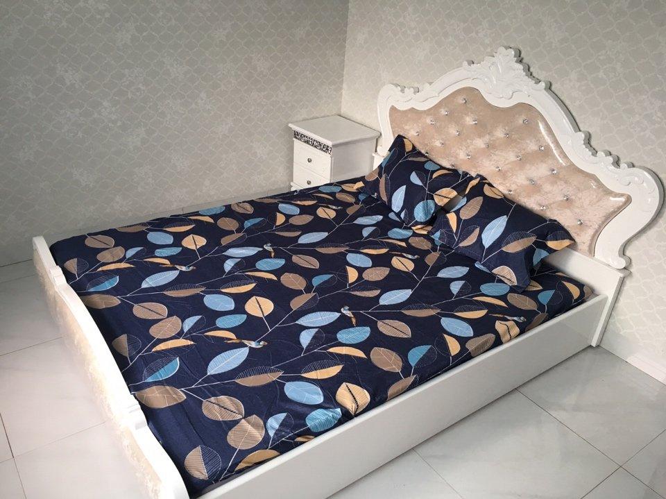 Ga Chun và 2 áo gối Đủ size 1m6x2m 1m8x2m  (revatot)
