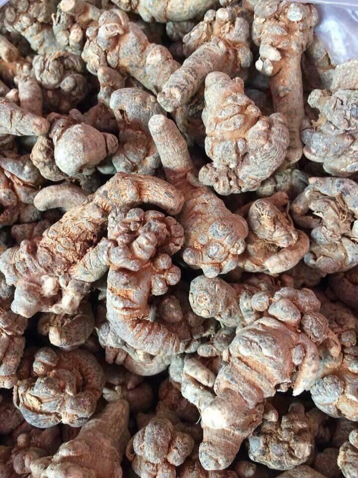 Tam thất bắc khô 100g (loại 9 củ)