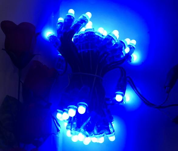 Chuỗi 50 con led RGB 8mm vỏ bọc nhựa 12mm, 5Vdc, loại X1